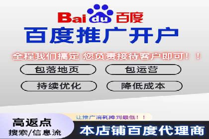 SEM服务案例：打造行业领先品牌
